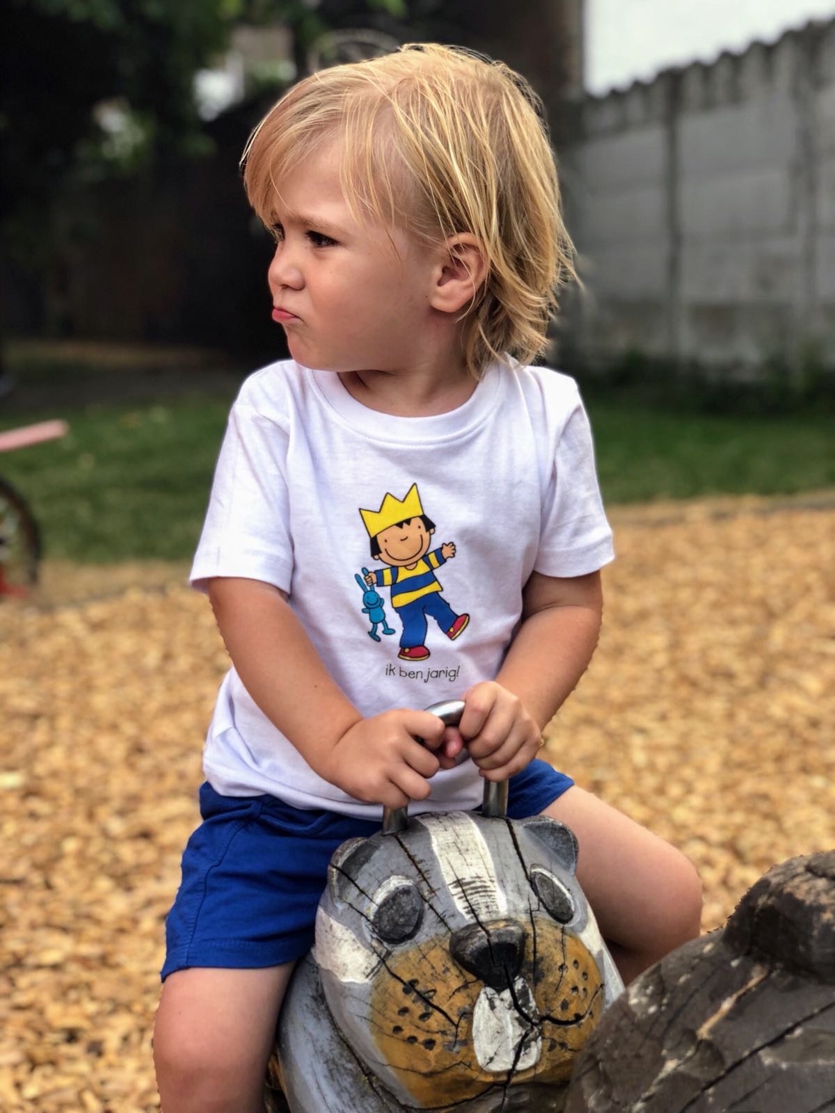 Strijkapplicatie: Vriendje van Anna