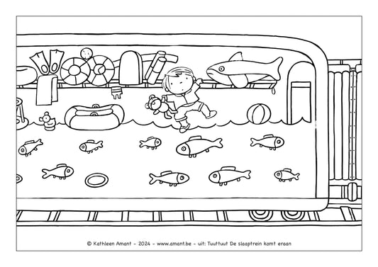 Tuuttuut De slaaptrein vissen