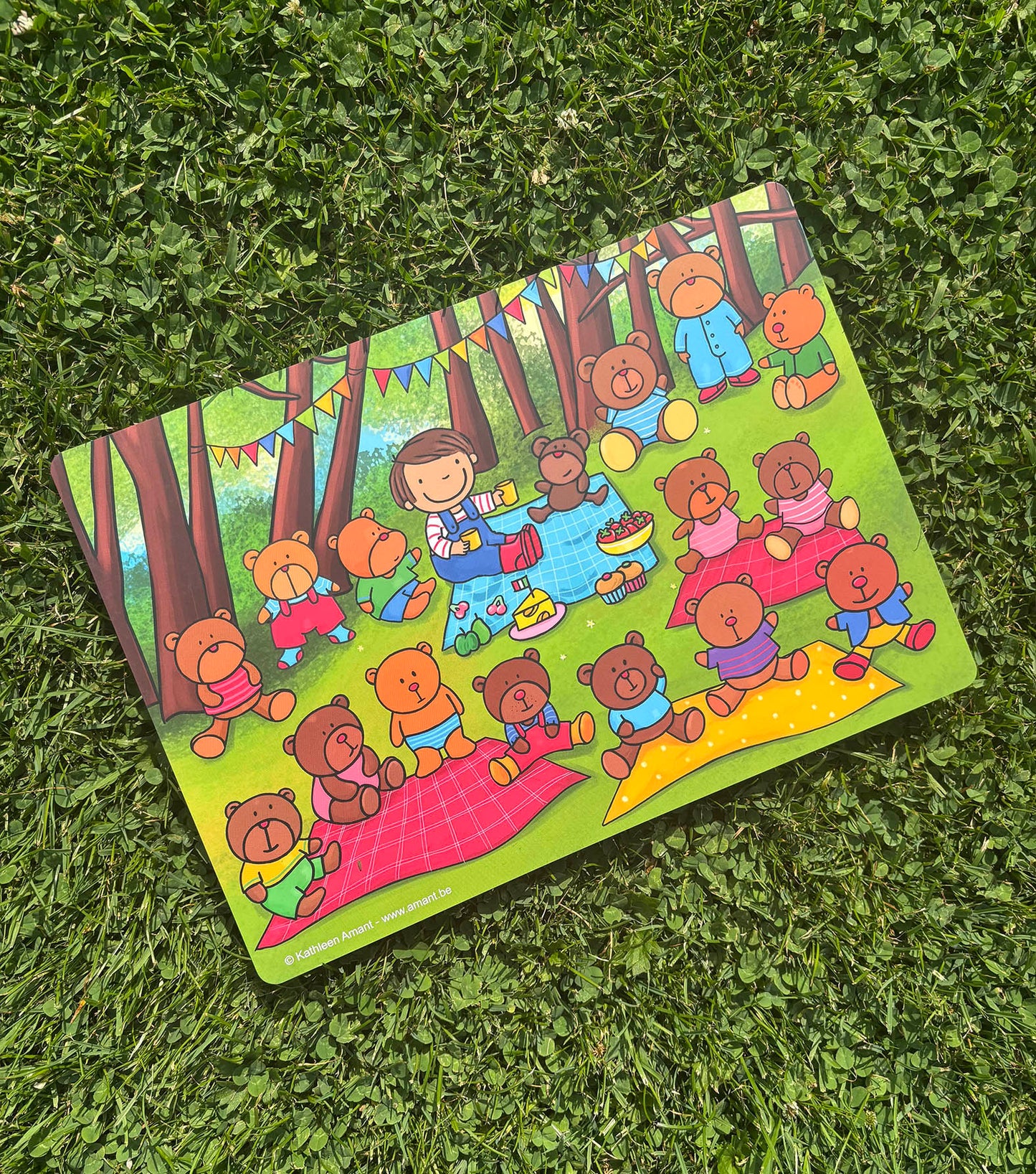 De Grote berenpicknick zoektocht