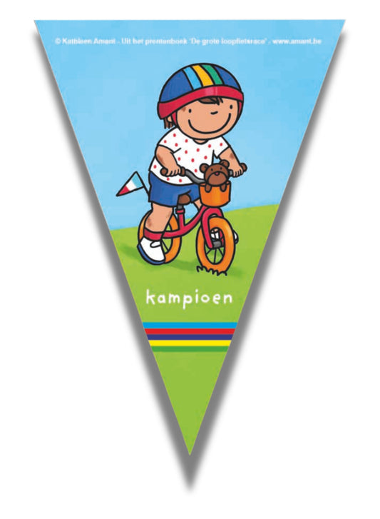 Vlag + fietsdiploma