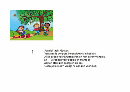 Kamishibai: De grote berenpicknick